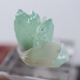 Wagholi�������ݥե��饤��