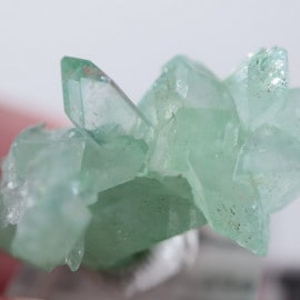 Wagholi�������ݥե��饤��