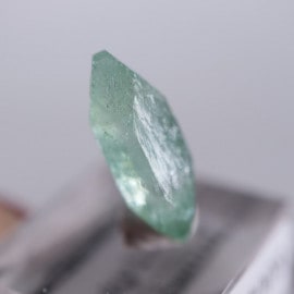 Wagholi�������ݥե��饤��