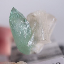 Wagholi�������ݥե��饤��