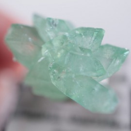 Wagholi�������ݥե��饤��