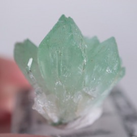 Wagholi�������ݥե��饤��