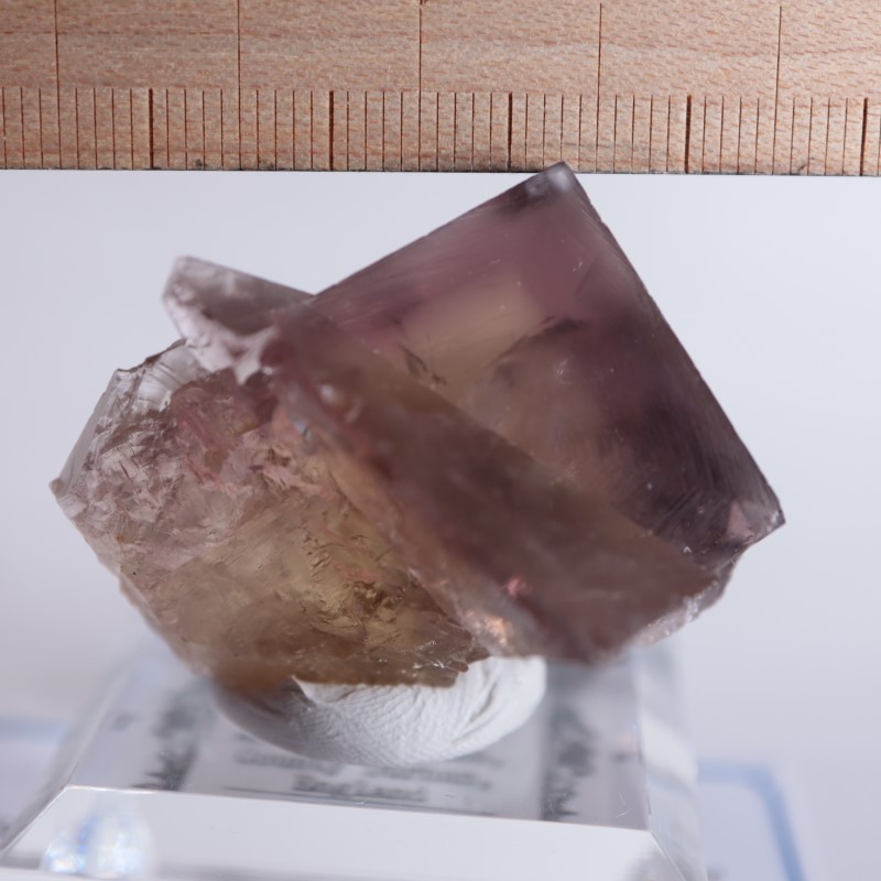 Sherry Twins Pocket産 フローライト（蛍石） | 鉱物標本,ハ行,フロー