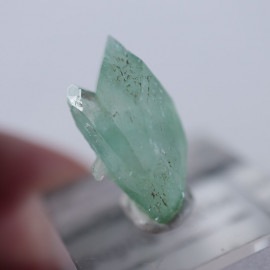 Wagholi�������ݥե��饤��