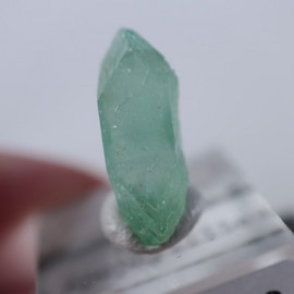 Wagholi�������ݥե��饤��