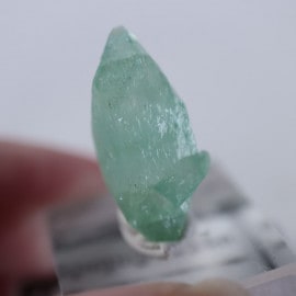 Wagholi�������ݥե��饤��