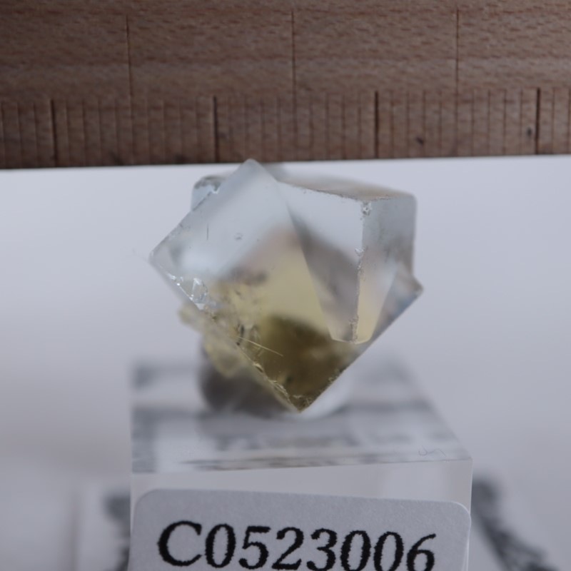 The Bull Vein フローライト（蛍石） | 鉱物標本,ハ行,フローライト/蛍