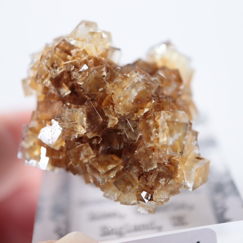 ヒルトン鉱山 フローライト（蛍石） | 鉱物標本,ハ行,フロー