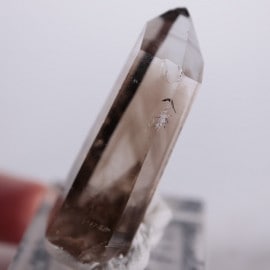 �˥塼�ᥭ����������徽