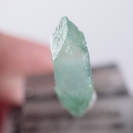 Wagholi�������ݥե��饤��