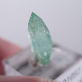 Wagholi�������ݥե��饤��