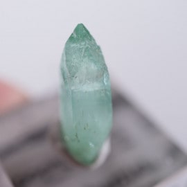 Wagholi�������ݥե��饤��