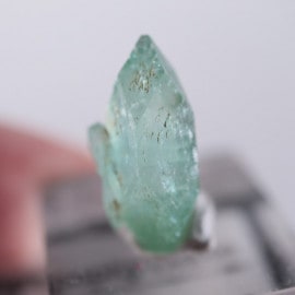 Wagholi�������ݥե��饤��