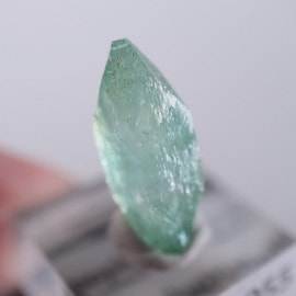 Wagholi�������ݥե��饤��