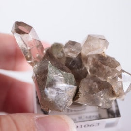 �ե�󥹻������⡼������������