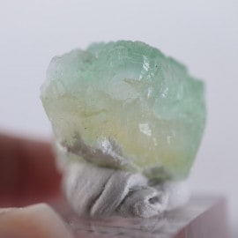 Lonavala�������ݥե��饤��