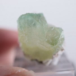 Lonavala�������ݥե��饤��