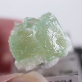 Lonavala�������ݥե��饤��