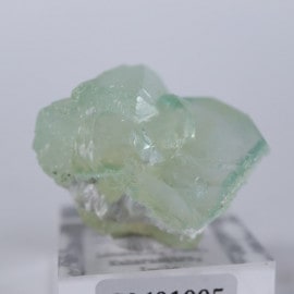 Lonavala�������ݥե��饤��