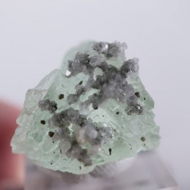 El Hammam�ۻ������ե����饤��