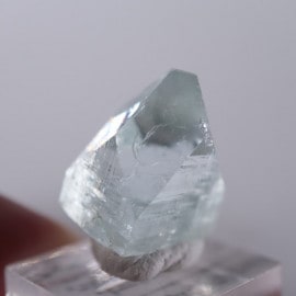 Vambori�������ݥե��饤��