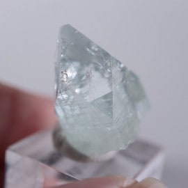 Vambori�������ݥե��饤��