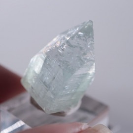 Vambori�������ݥե��饤��