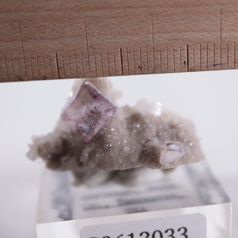【母岩付きドロマイト共生】フローライト エルムウッド産　蛍石　鉱物標本 エルムウッド鉱山 蛍石、ドロマイト | 鉱物標本,ハ行,フローライト/蛍