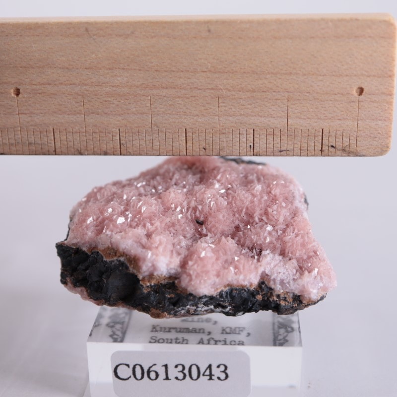 【鉱物標本】ロードクロサイト 南アフリカ産 ロードクロサイト【Rhodochrosite】南アフリカ産 | PEANUTS MINERALS