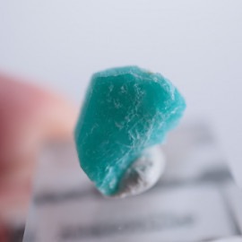 Wild Blue Indian prospect�����ޥ��ʥ���