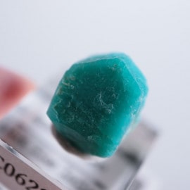 Wild Blue Indian prospect�����ޥ��ʥ���