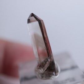 �˥塼�ᥭ����������徽