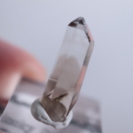 �˥塼�ᥭ����������徽