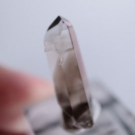 �˥塼�ᥭ����������徽