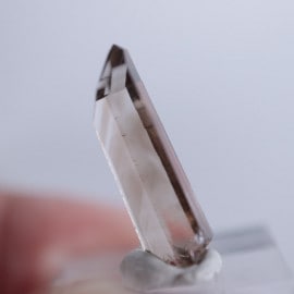 �˥塼�ᥭ����������徽