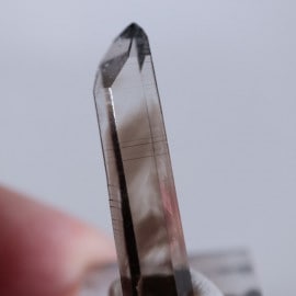 �˥塼�ᥭ����������徽