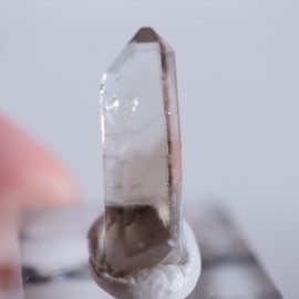 �˥塼�ᥭ����������徽