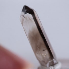 �˥塼�ᥭ����������徽