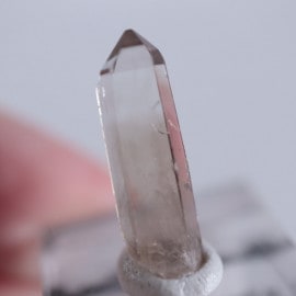 �˥塼�ᥭ����������徽