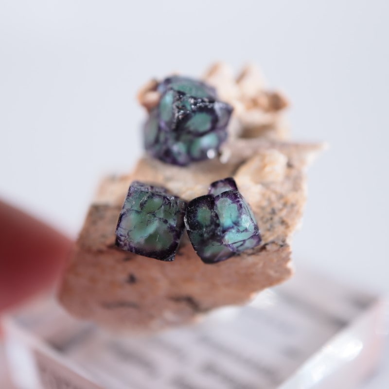 ナミビア産　フローライト（蛍石）ガーデン風 ナミビア産フローライト(蛍石)ガーデン風