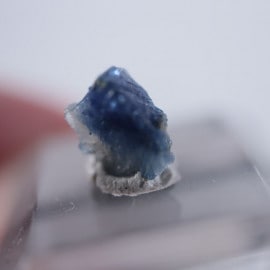 ����ե���˥������٥˥ȥ�����