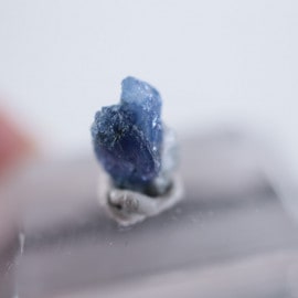 ����ե���˥������٥˥ȥ�����