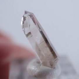 �˥塼�ᥭ����������徽