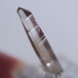 �˥塼�ᥭ����������徽