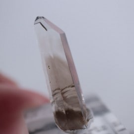 �˥塼�ᥭ����������徽