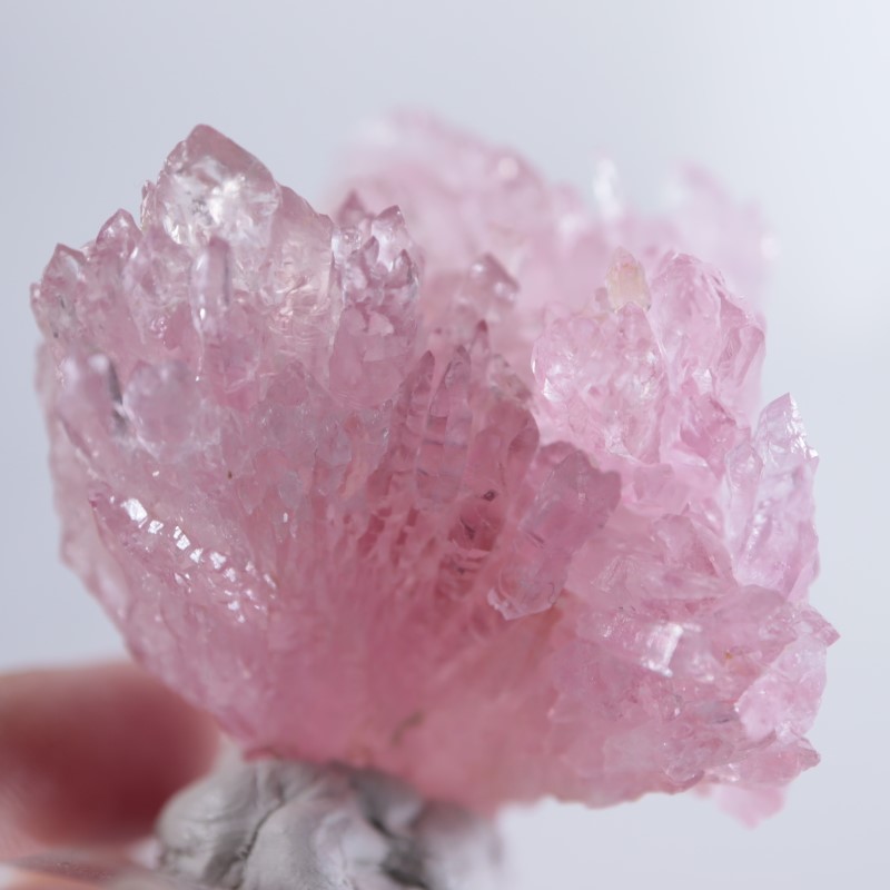 ブラジル産 ローズクォーツ | 鉱物標本,カ行,クォーツ/水晶 | ほたるみ