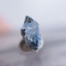 ����ե���˥������٥˥ȥ�����