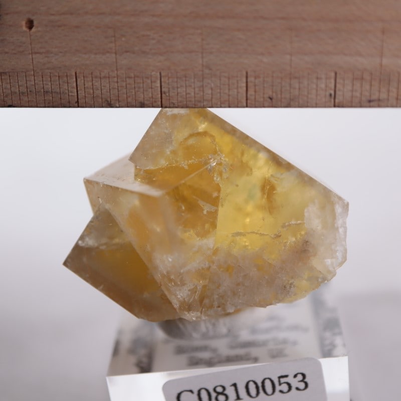 閉山ヒルトン鉱山　フローライト 蛍石　鉱物　鉱物標本 原石 fluorite ヒルトン鉱山 フローライト | 鉱物標本,ハ行,フローライト/蛍石
