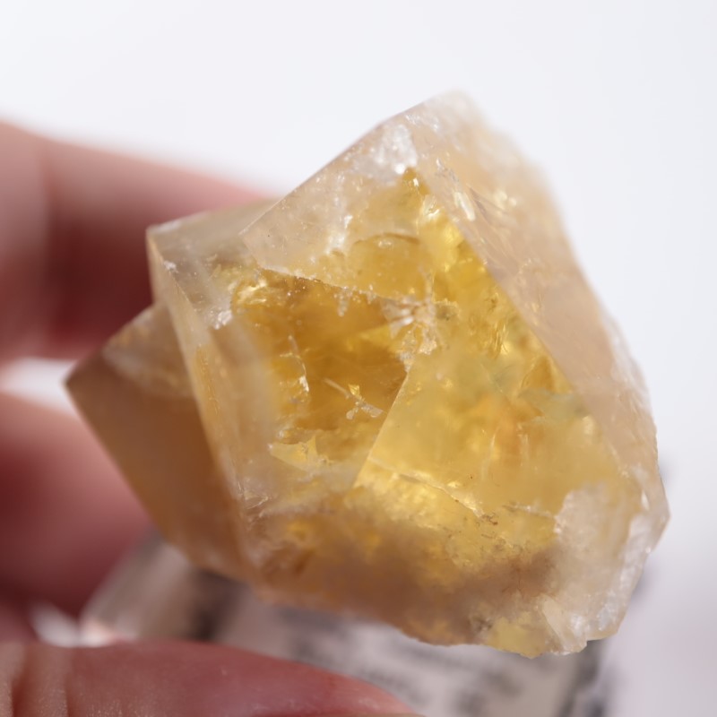 閉山ヒルトン鉱山　フローライト 蛍石　鉱物　鉱物標本 原石 fluorite ヒルトン鉱山 フローライト | 鉱物標本,ハ行,フローライト/蛍石