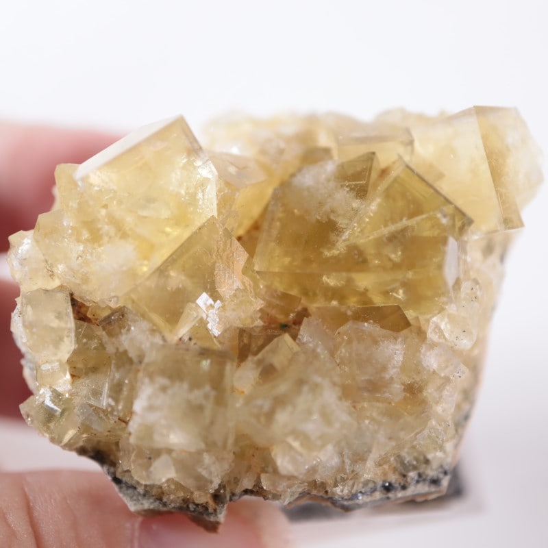 閉山ヒルトン鉱山 フローライト 蛍石 鉱物 鉱物標本 原石 fluorite ヒルトン鉱山 フローライト | 鉱物標本,ハ行,フローライト/蛍石